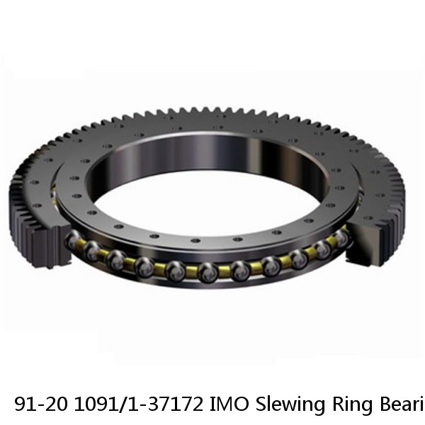 91-20 1091/1-37172 IMO Slewing Ring Bearings