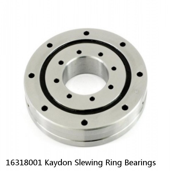 16318001 Kaydon Slewing Ring Bearings