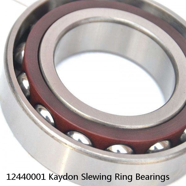 12440001 Kaydon Slewing Ring Bearings