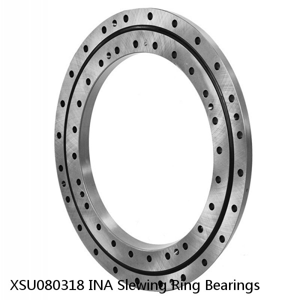 XSU080318 INA Slewing Ring Bearings