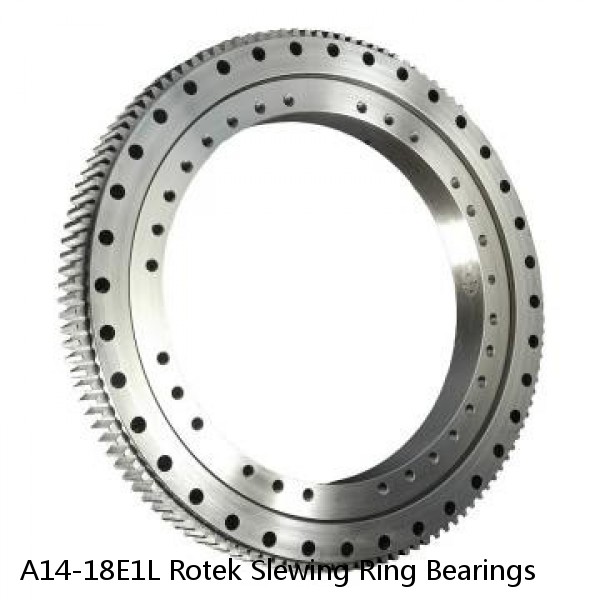 A14-18E1L Rotek Slewing Ring Bearings