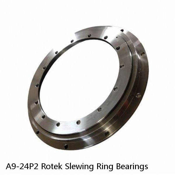 A9-24P2 Rotek Slewing Ring Bearings