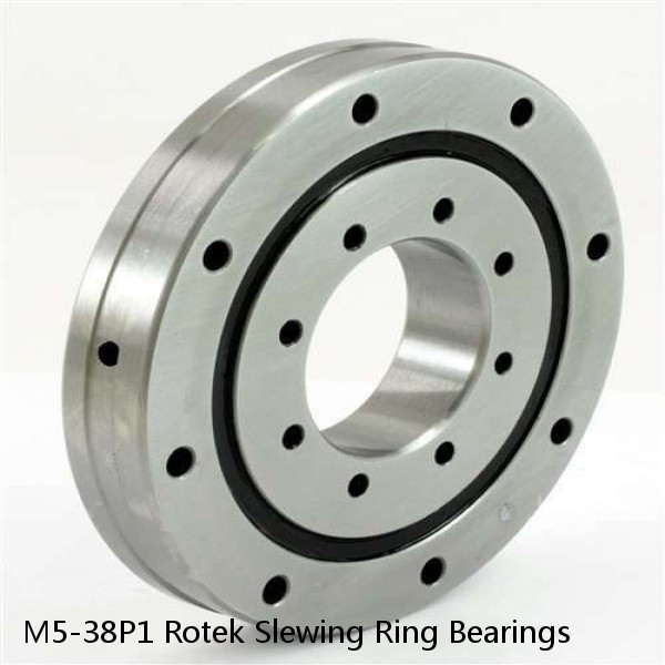 M5-38P1 Rotek Slewing Ring Bearings