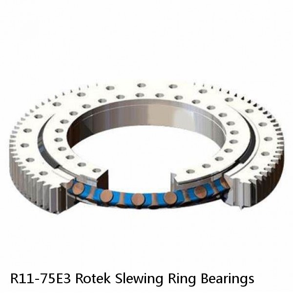 R11-75E3 Rotek Slewing Ring Bearings