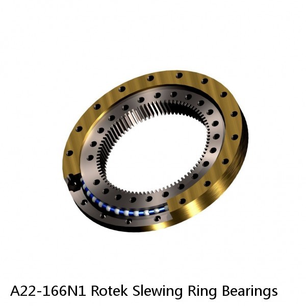 A22-166N1 Rotek Slewing Ring Bearings