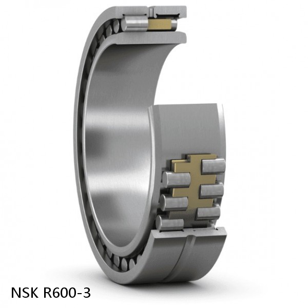 R600-3 NSK CYLINDRICAL ROLLER BEARING